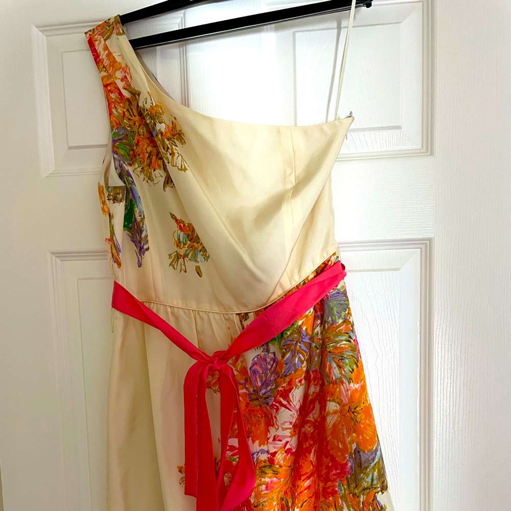 J Cree Silk Dress Size 8 NWT